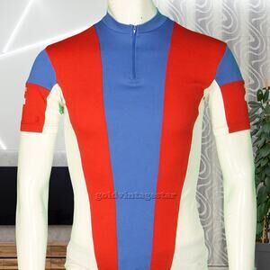 Vintage Descente Japan Stripe Cycling Jersey